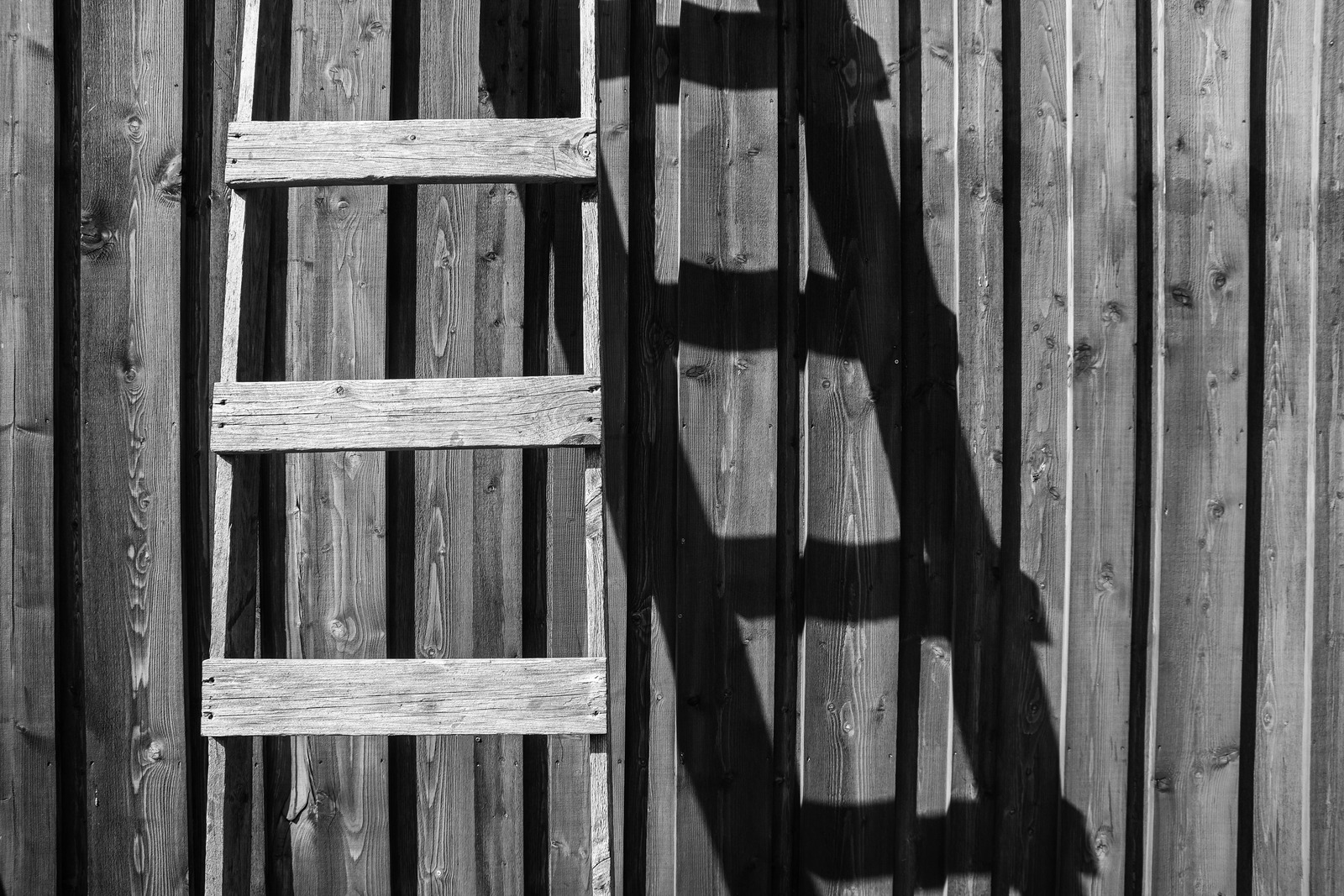 Canva – Brown Wooden Ladder