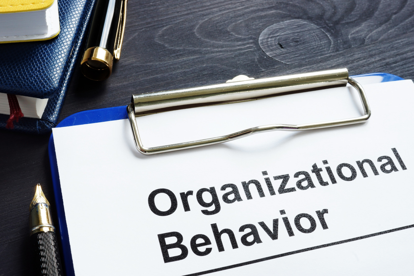 Organizational Behavior report on an office desk.